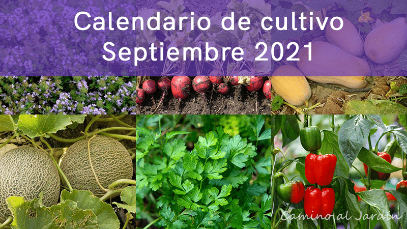 Calendario de cultivo de Septiembre 2021